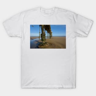 Saltburn by the Sea T-Shirt